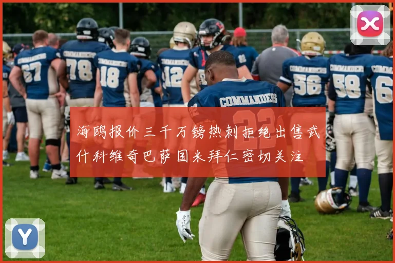海鸥报价三千万镑热刺拒绝出售武什科维奇巴萨国米拜仁密切关注