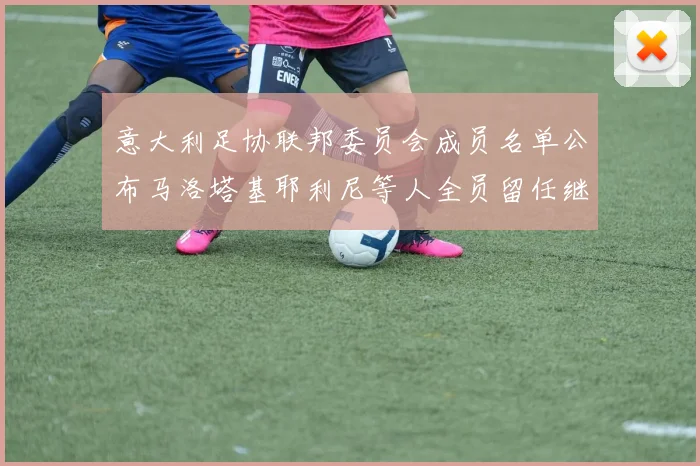 意大利足协联邦委员会成员名单公布马洛塔基耶利尼等人全员留任继续服务