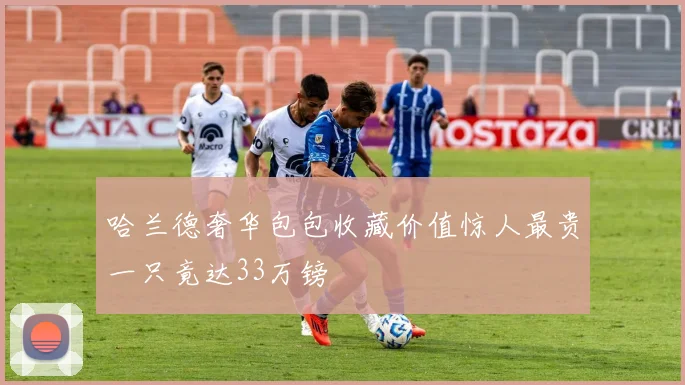 哈兰德奢华包包收藏价值惊人最贵一只竟达33万镑
